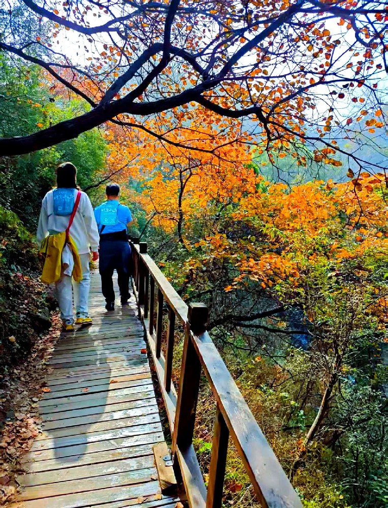恰逢重阳节，全国多地集中推出重阳主题文旅惠民活动